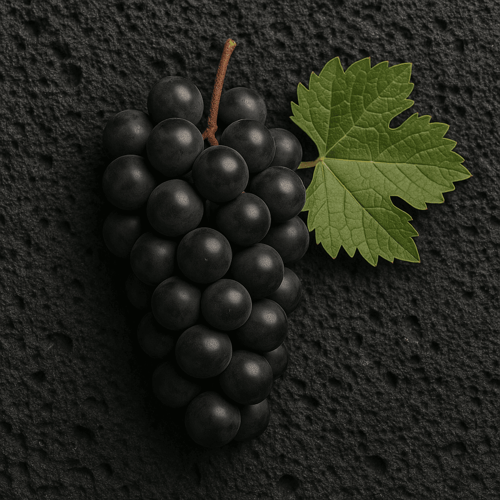 Mavrotragano grapes