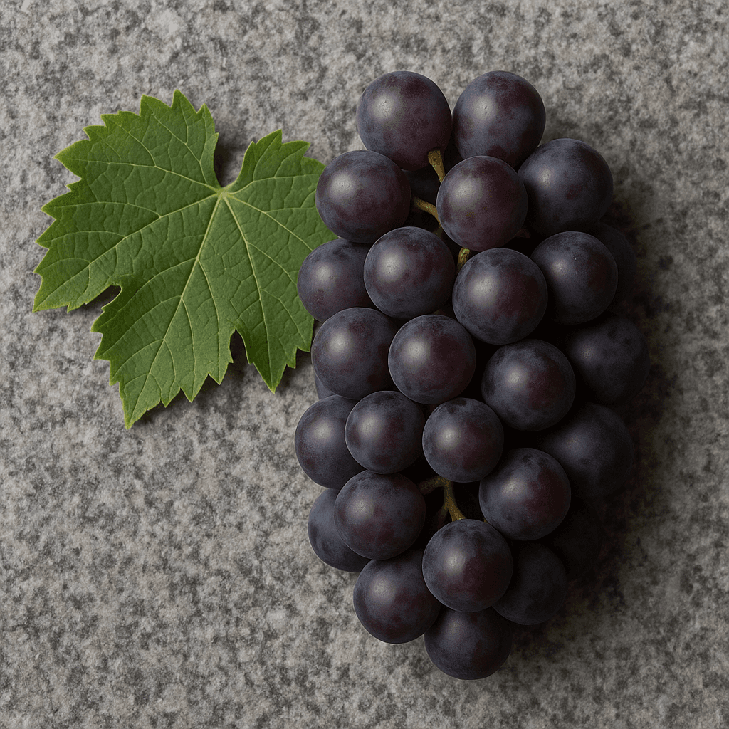 Nielluccio grapes