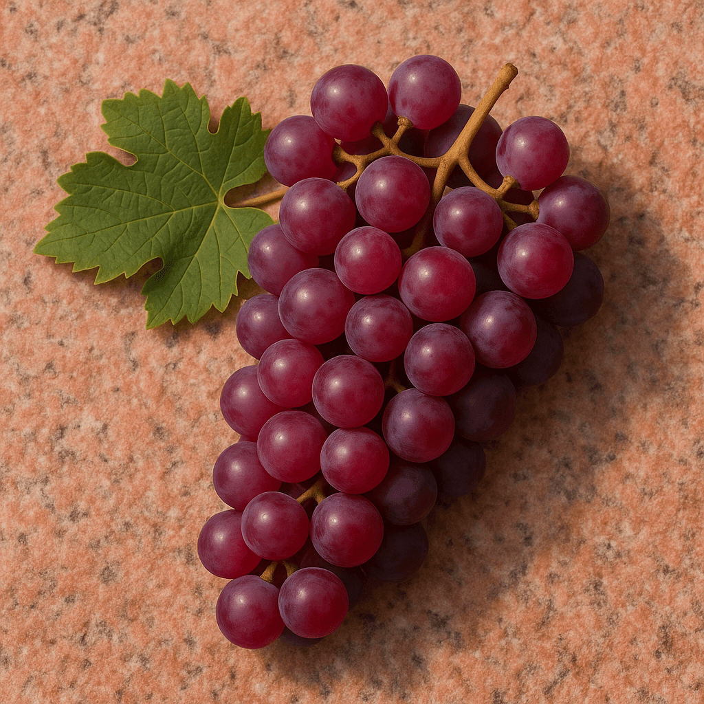 Gamay wine category