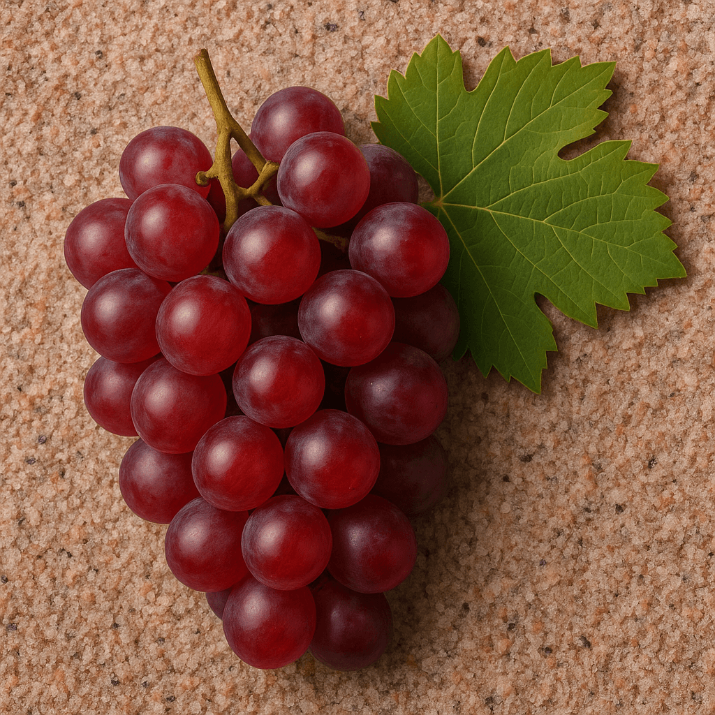 Cannonau grapes