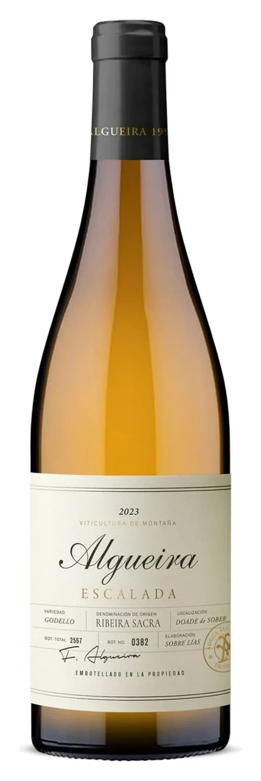 Escalada Ribeira Sacra Godello, Adega Algueira