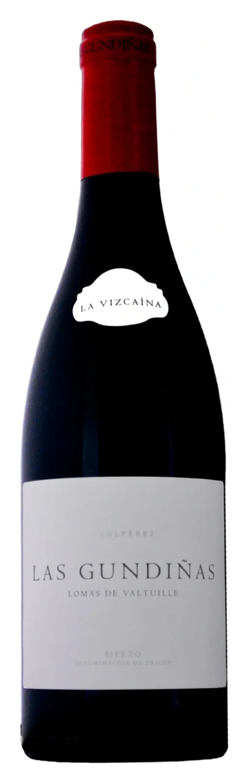Las Gundiñas Bierzo, Raúl Pérez, La Vizcaína