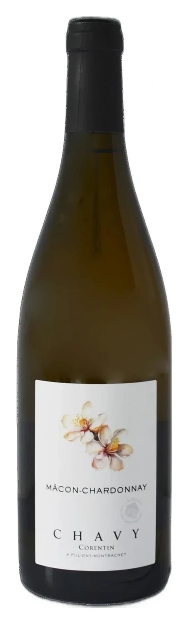 Mâcon-Chardonnay, Corentin Chavy