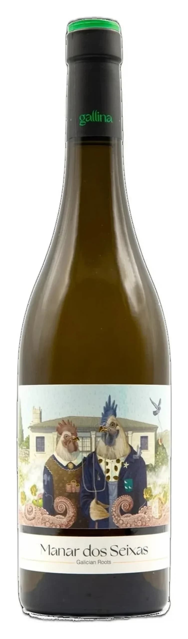 Manar dos Seixas Ribeiro, Gallina de Piel