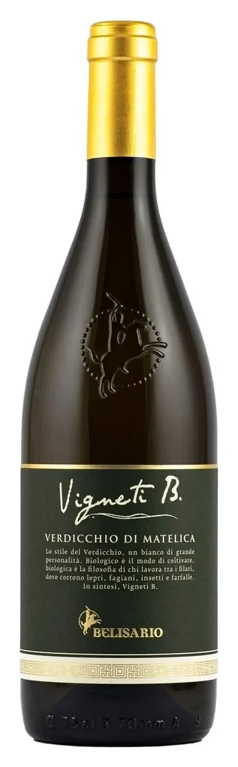 Vigneti B Verdicchio di Matelica, Cantine Belisario