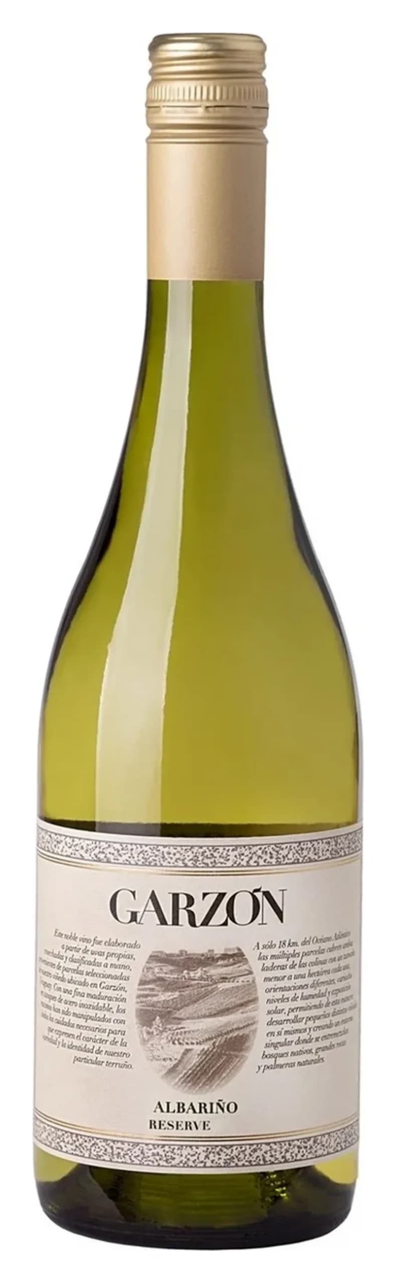 Albariño, Bodega Garzón Reserve